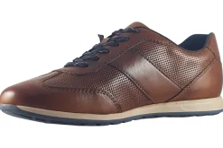 Bugatti Apron Toe | Mens Shoes<Thorello 311A9Q05 Mens Leather Fashion Trainers