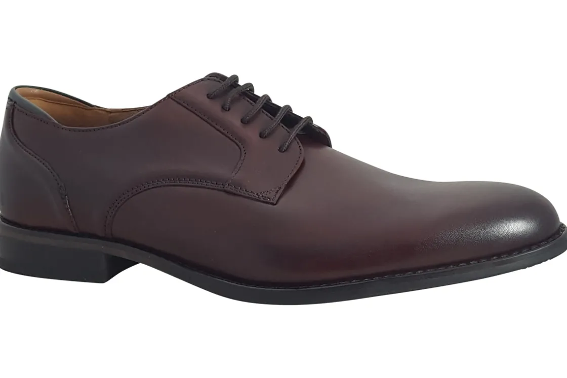 Clarks Plain Toe | Mens Shoes<CraftArlo Lace Mens Leather Shoes