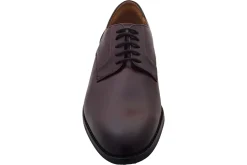 Clarks Plain Toe | Mens Shoes<CraftArlo Lace Mens Leather Shoes