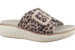 Women Jana Softline Womens Sandals<Gammon 27265-44 Womens Sandals