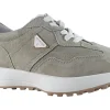 Women Kate Appleby Womens Fashion Trainers<Caithness Womens Fashion Trainers