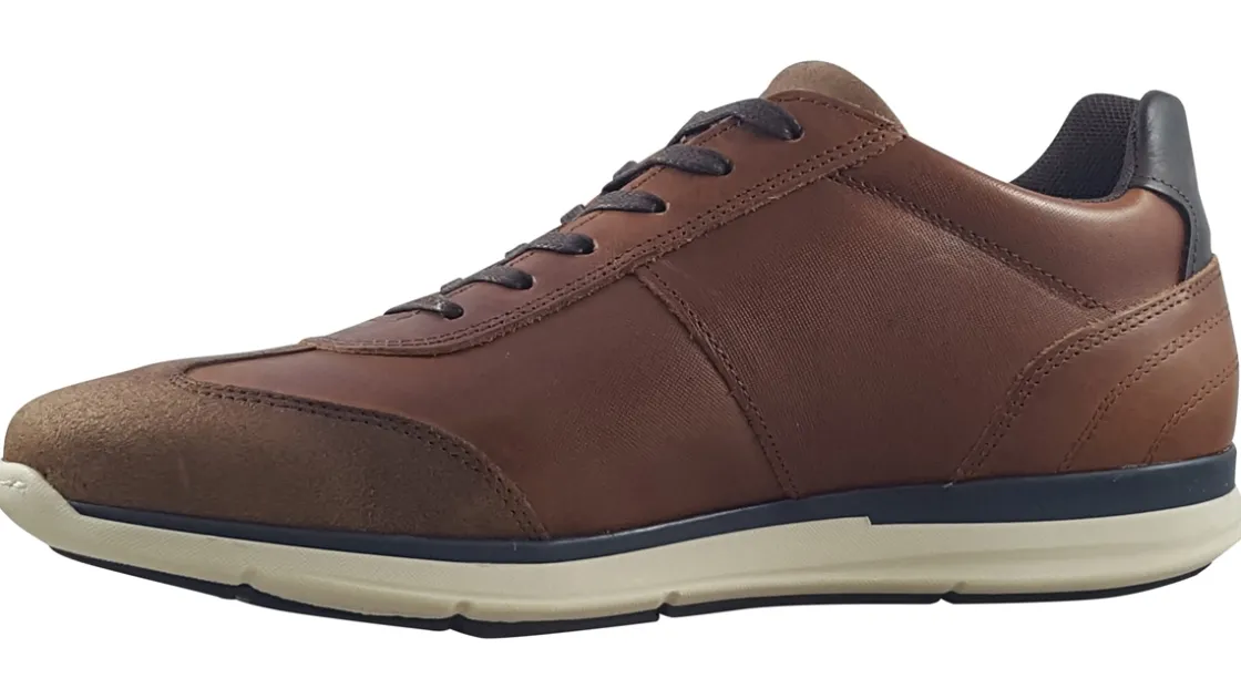 Lloyd and Pryce Apron Toe | Mens Shoes<Gallo Mens Leather Fashion Trainers