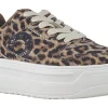Women Refresh Womens Fashion Trainers<Lobster 172869 Womens Fashion Trainers